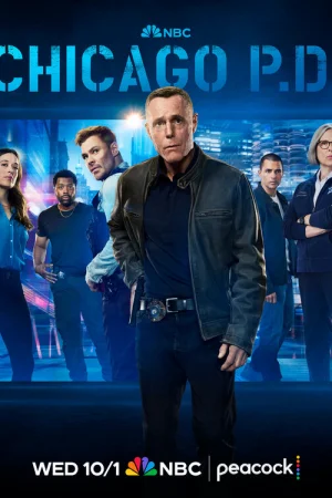Полиция Чикаго 1-13 сезон онлайн